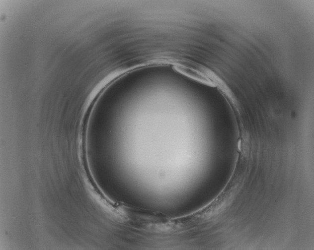 X0000062670955200512230943