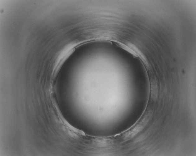 X0000062670956200512230943