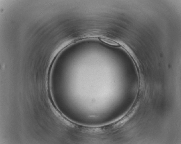 X0000062670957200512230943