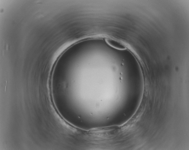 X0000062670959200512230943