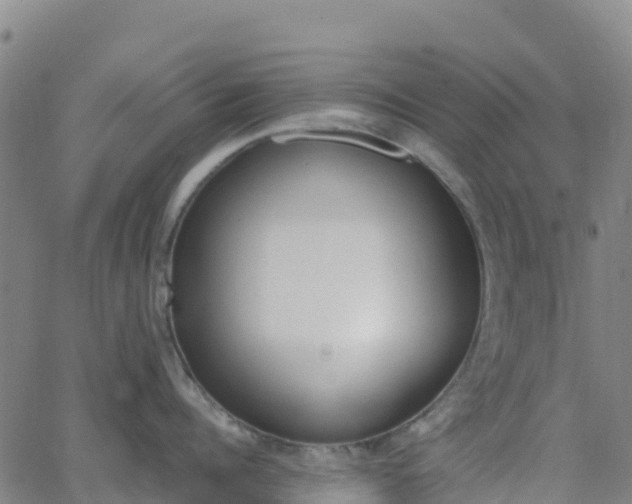 X0000062670960200512230943