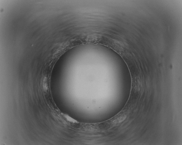 X0000062670962200512230942