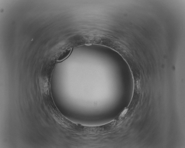 X0000062670963200512230942