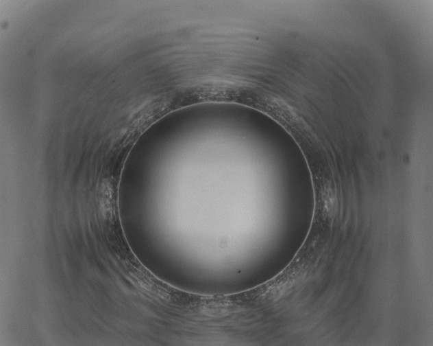 X0000062670964200512230942