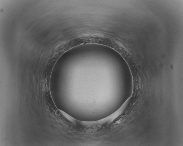 X0000062670965200512230942