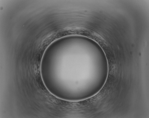 X0000062670966200512230942