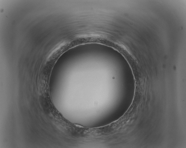 X0000062670967200512230942