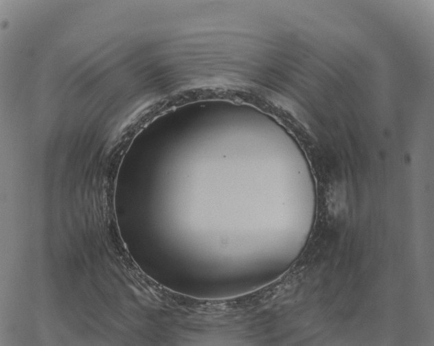 X0000062670968200512230942