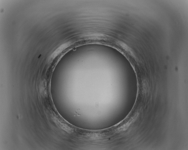 X0000062670970200512230942