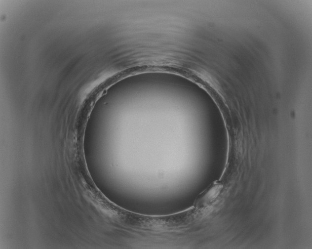 X0000062670971200512230942