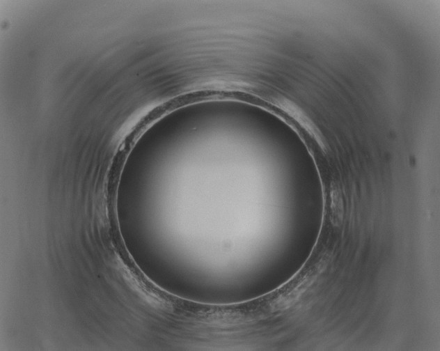 X0000062670972200512230942