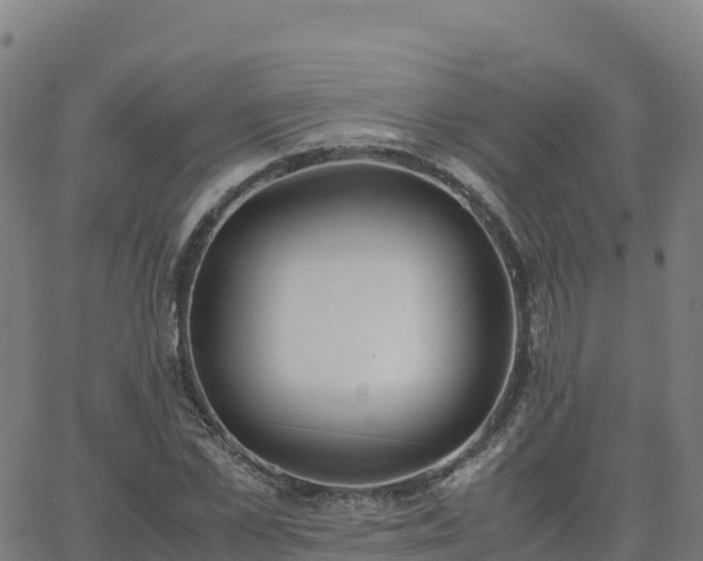 X0000062670973200512230942