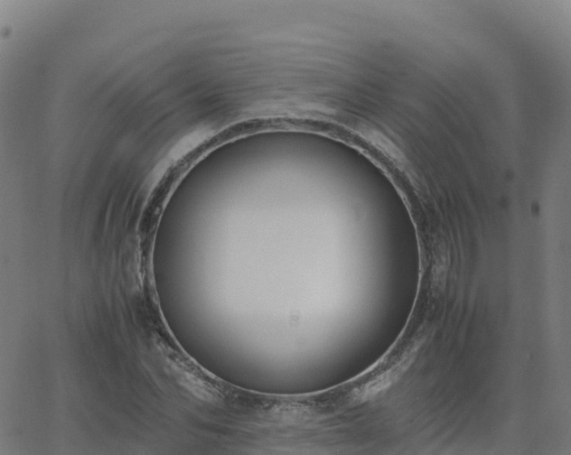 X0000062670974200512230942