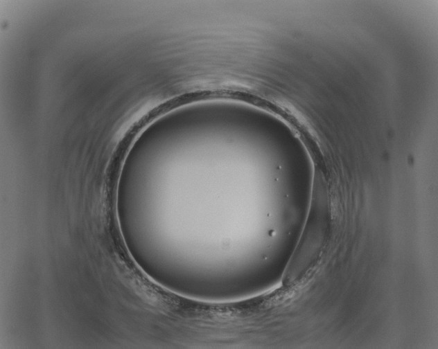 X0000062670975200512230942