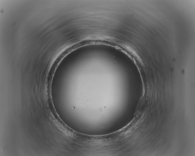 X0000062670976200512230942