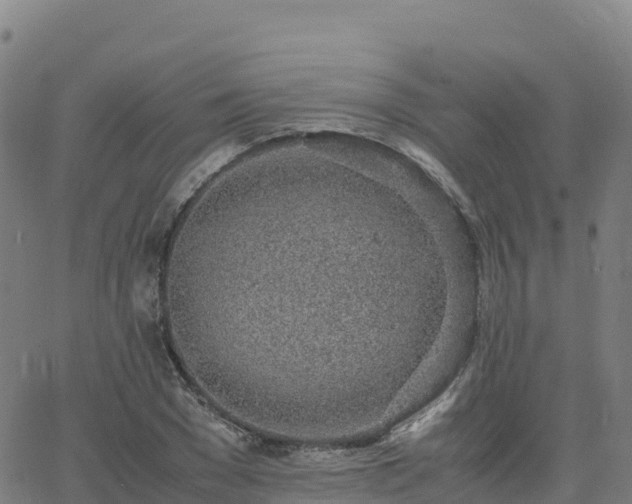 X0000062670977200512230942