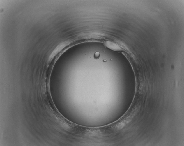 X0000062670978200512230942