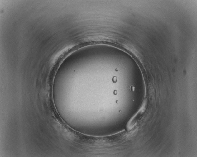 X0000062670979200512230942