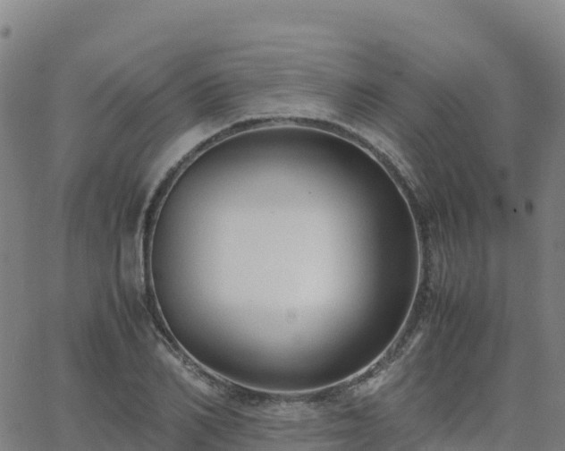 X0000062670982200512230942