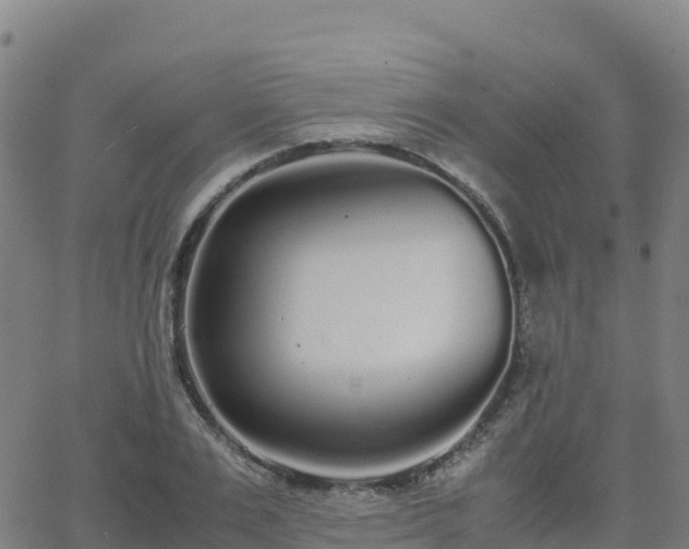 X0000062670983200512230942