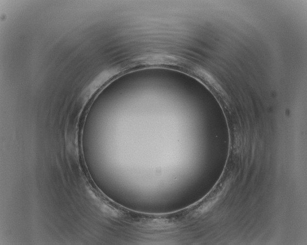 X0000062670986200512230942