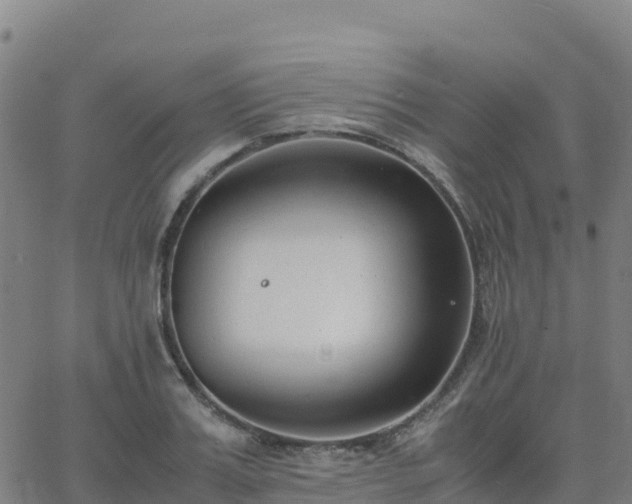 X0000062670987200512230942