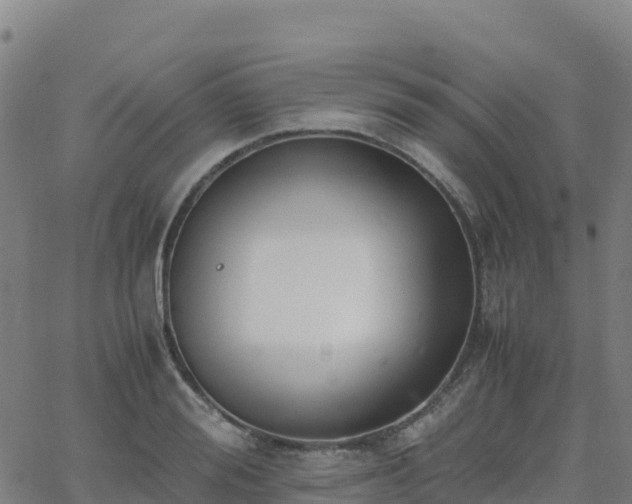 X0000062670988200512230942