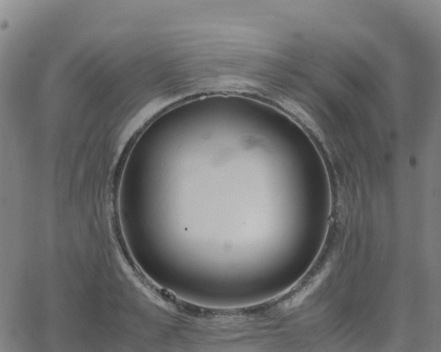 X0000062670989200512230942