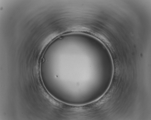 X0000062670990200512230942