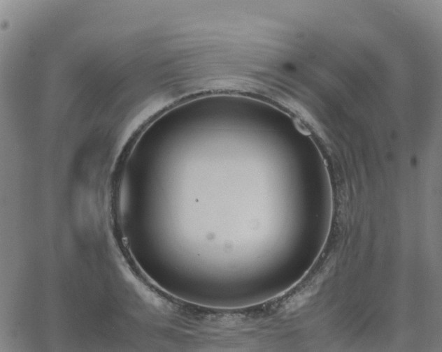 X0000062670991200512230942