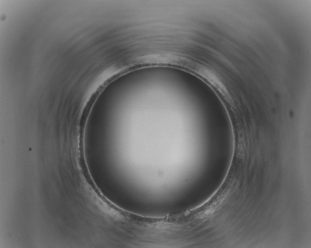 X0000062670992200512230942