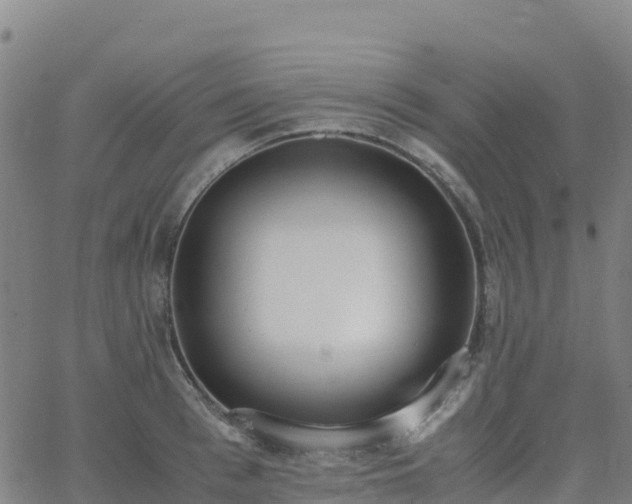 X0000062670993200512230942