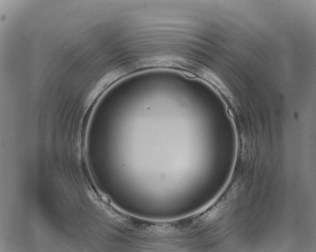 X0000062670994200512230942