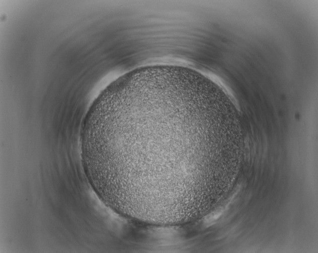 X0000062670998200512230942