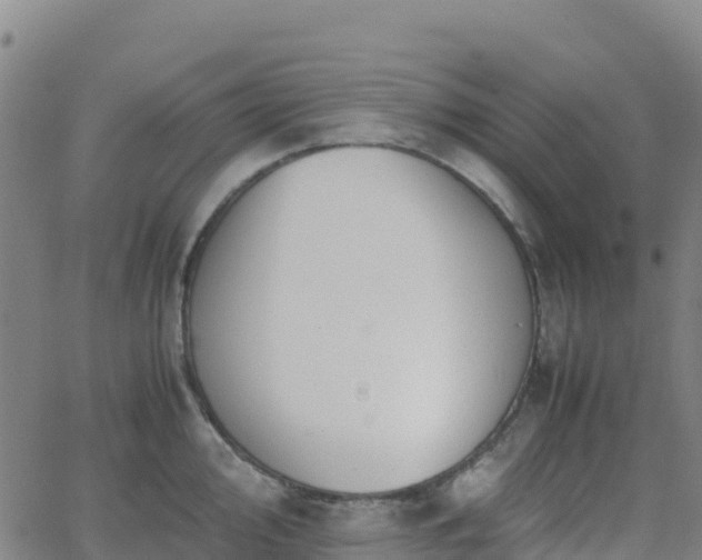 X0000062671000200512230942