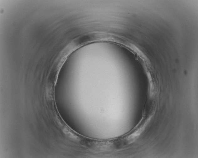 X0000062671001200512230942