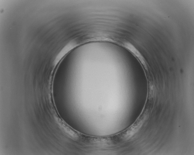 X0000062671002200512230942