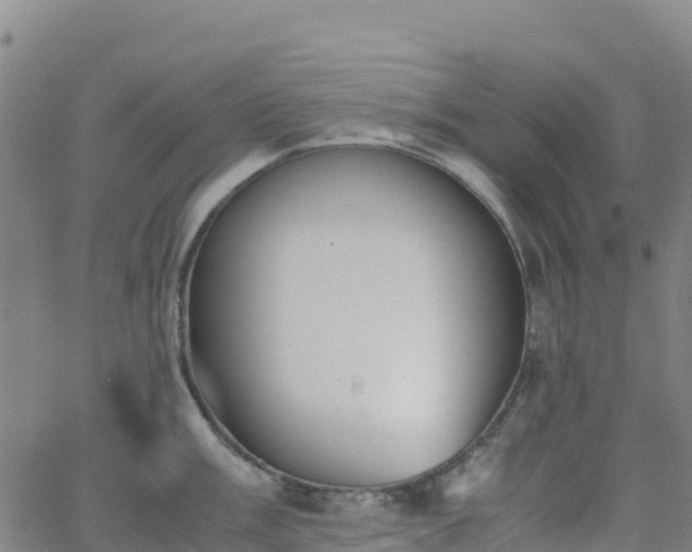 X0000062671003200512230942