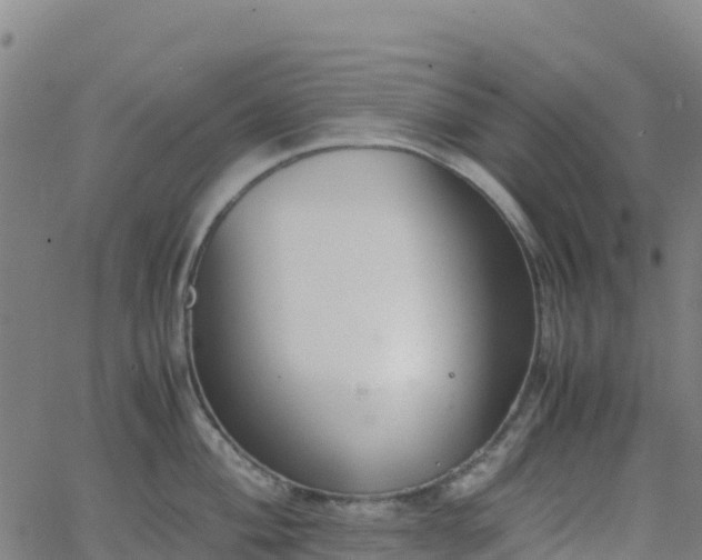 X0000062671004200512230942