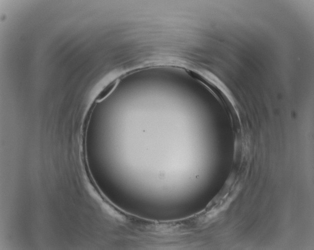 X0000062671005200512230942