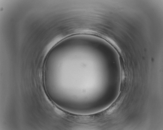 X0000062671007200512230942