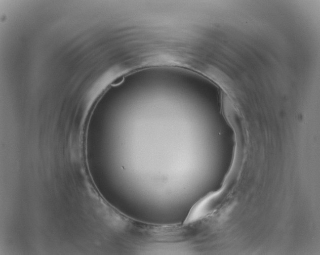 X0000062671008200512230942