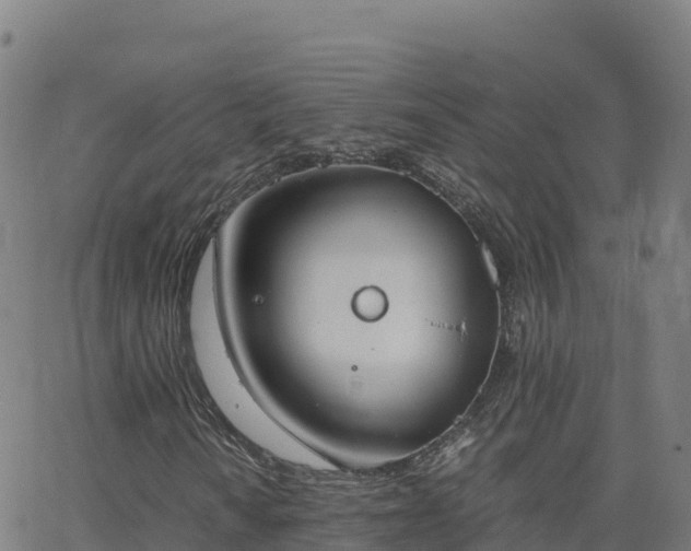 X0000062671010200512230941