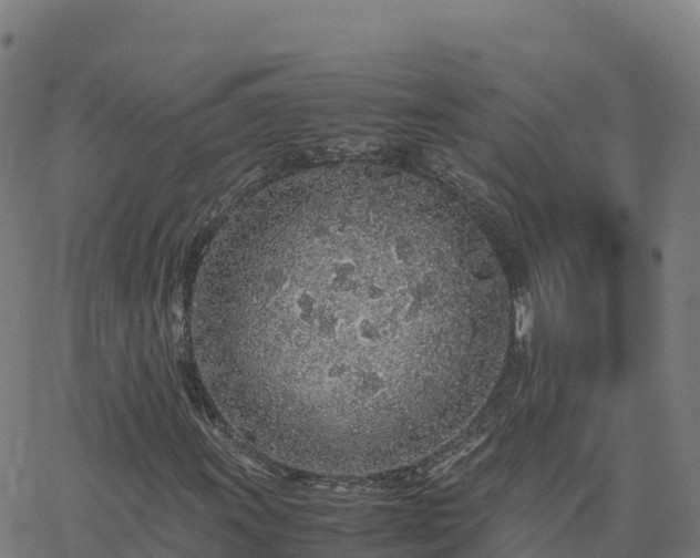 X0000062671011200512230941