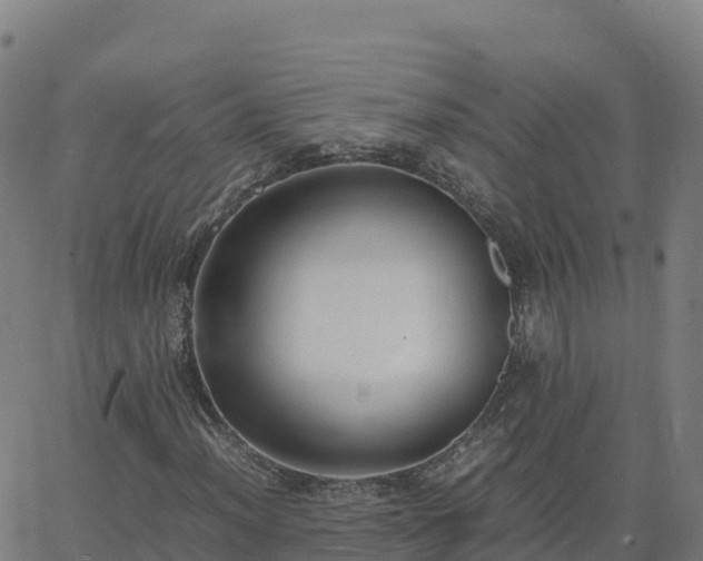 X0000062671012200512230941