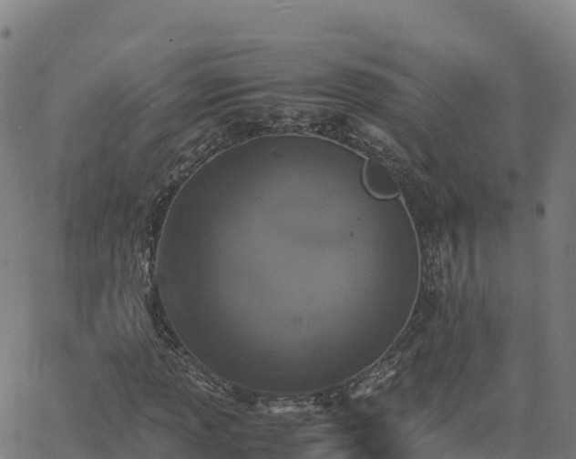 X0000062671013200512230941