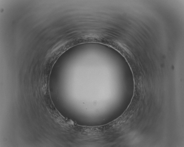 X0000062671015200512230941