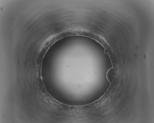 X0000062671016200512230941