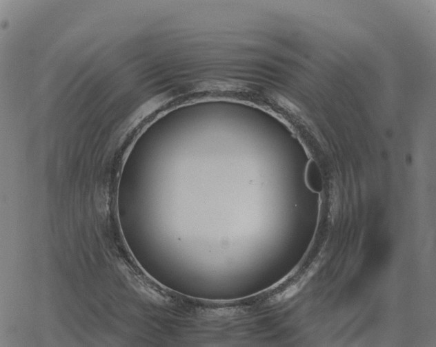 X0000062671017200512230941