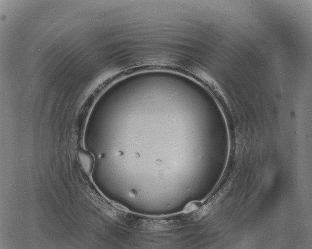 X0000062671019200512230941